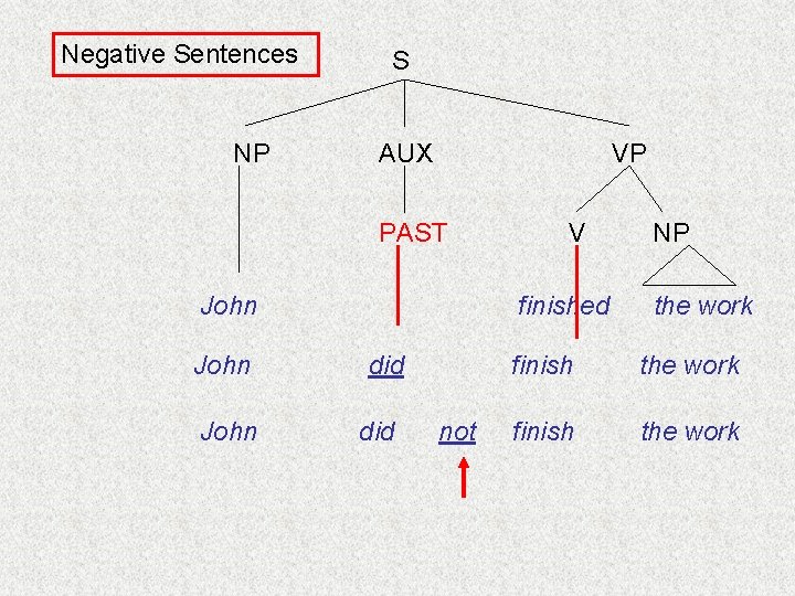 Negative Sentences NP S AUX VP PAST John V finished did not NP the