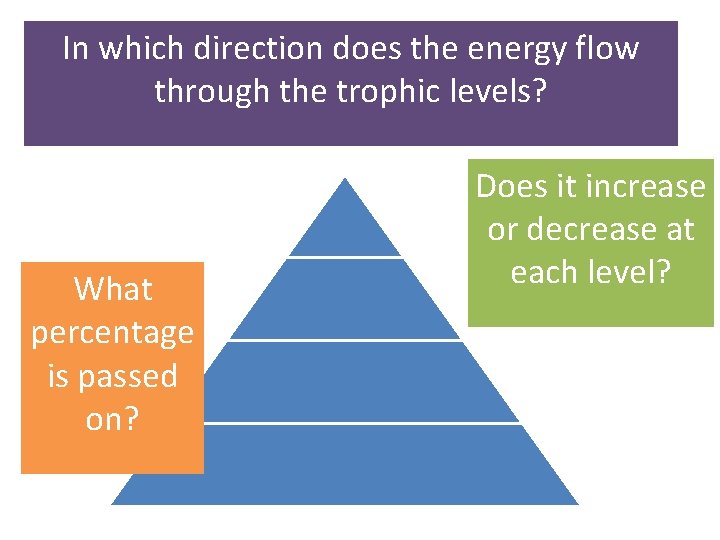 In which direction does the energy flow through the trophic levels? What percentage is
