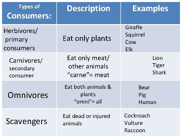 Types of Description Examples Types of Consumers: Herbivores/ primary consumers Carnivores/ secondary consumer Eat