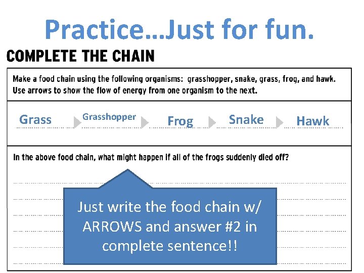 Practice…Just for fun. Grasshopper Frog Snake Just write the food chain w/ ARROWS and