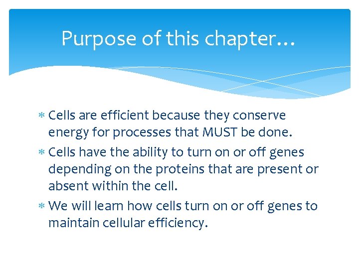 Purpose of this chapter… Cells are efficient because they conserve energy for processes that