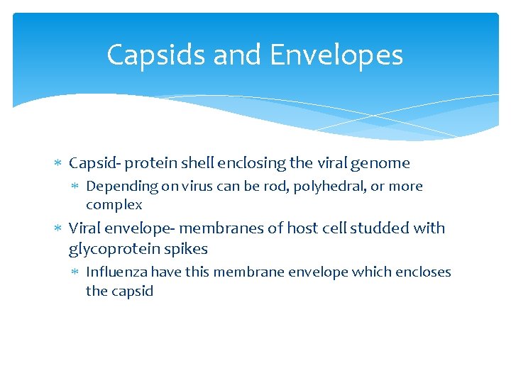 Capsids and Envelopes Capsid- protein shell enclosing the viral genome Depending on virus can
