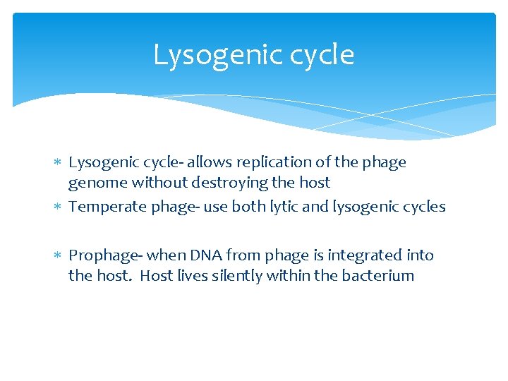 Lysogenic cycle Lysogenic cycle- allows replication of the phage genome without destroying the host