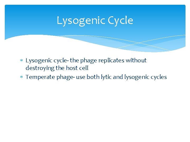 Lysogenic Cycle Lysogenic cycle- the phage replicates without destroying the host cell Temperate phage-