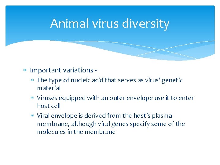 Animal virus diversity Important variations The type of nucleic acid that serves as virus’