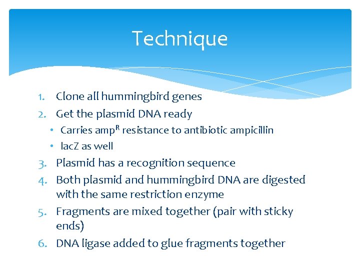 Technique 1. Clone all hummingbird genes 2. Get the plasmid DNA ready • Carries