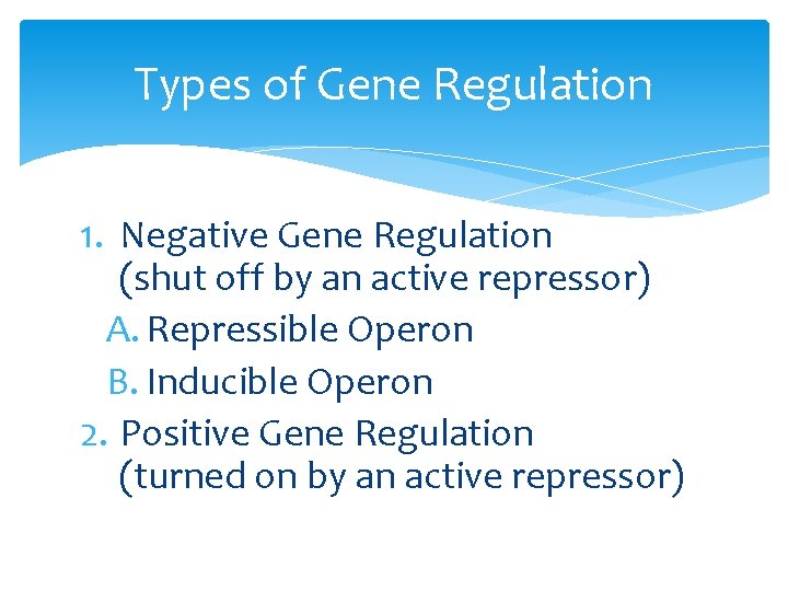 Types of Gene Regulation 1. Negative Gene Regulation (shut off by an active repressor)