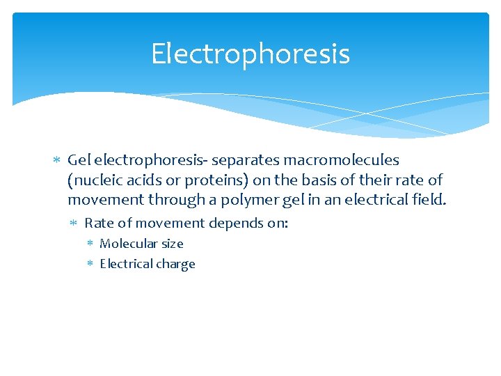 Electrophoresis Gel electrophoresis- separates macromolecules (nucleic acids or proteins) on the basis of their