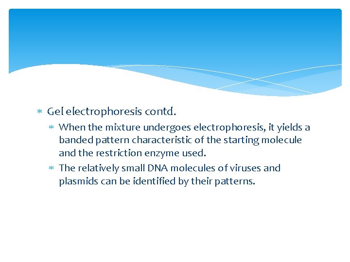  Gel electrophoresis contd. When the mixture undergoes electrophoresis, it yields a banded pattern
