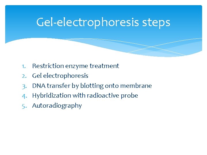 Gel-electrophoresis steps 1. 2. 3. 4. 5. Restriction enzyme treatment Gel electrophoresis DNA transfer