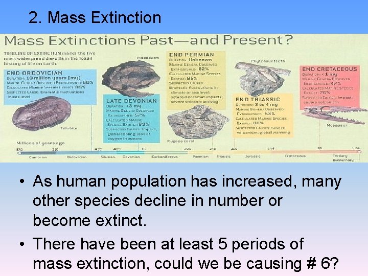 2. Mass Extinction • As human population has increased, many other species decline in