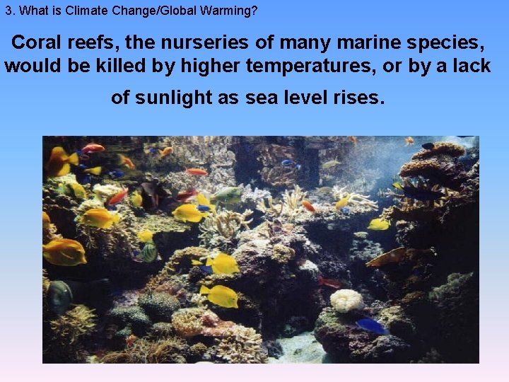 3. What is Climate Change/Global Warming? Coral reefs, the nurseries of many marine species,