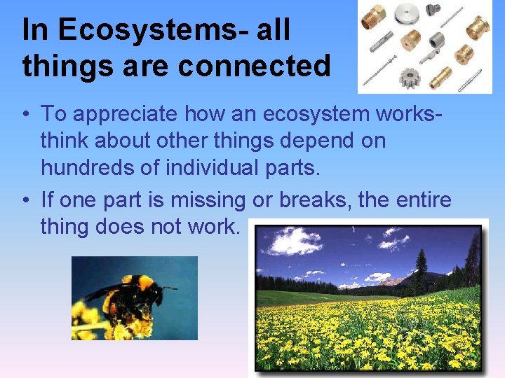 In Ecosystems- all things are connected • To appreciate how an ecosystem worksthink about