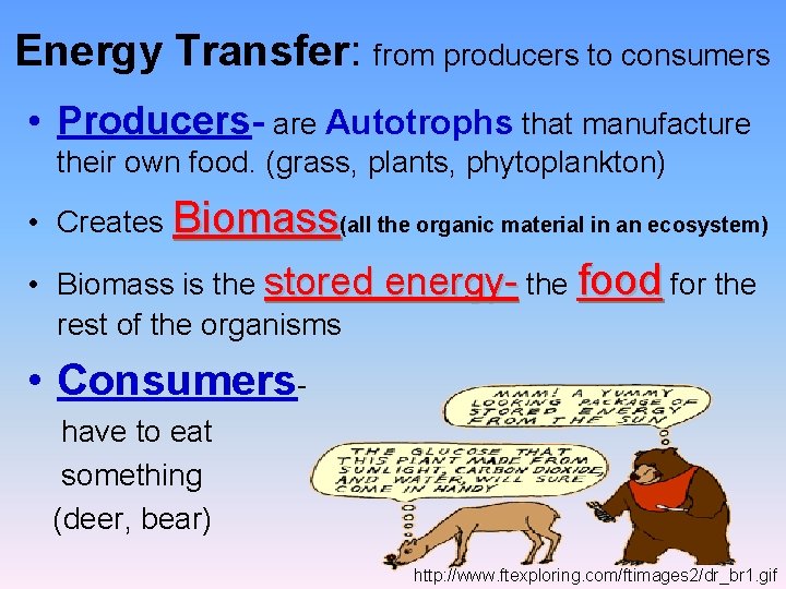 Energy Transfer: from producers to consumers • Producers- are Autotrophs that manufacture their own