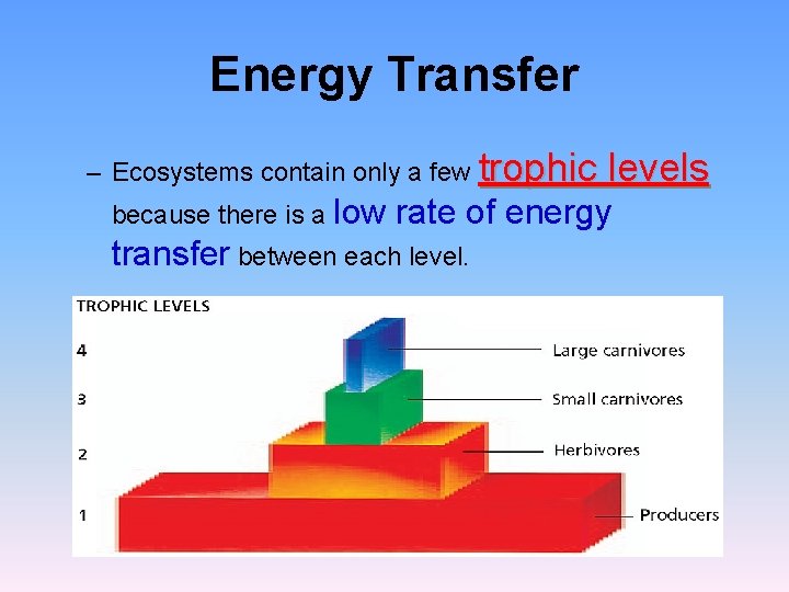 Energy Transfer – Ecosystems contain only a few trophic because there is a low