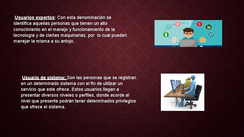 Usuarios expertos: Con esta denominación se identifica aquellas personas que tienen un alto conocimiento