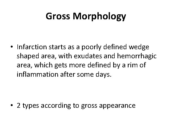 Gross Morphology • Infarction starts as a poorly defined wedge shaped area, with exudates