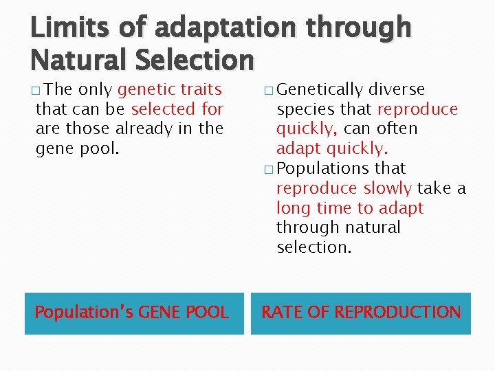 Limits of adaptation through Natural Selection � The only genetic traits that can be