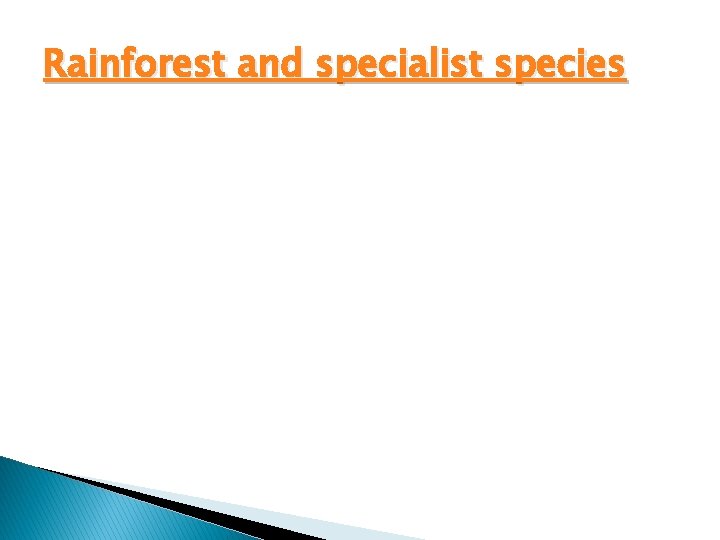 Rainforest and specialist species 