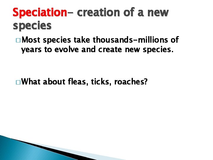 Speciation- creation of a new species � Most species take thousands-millions of years to