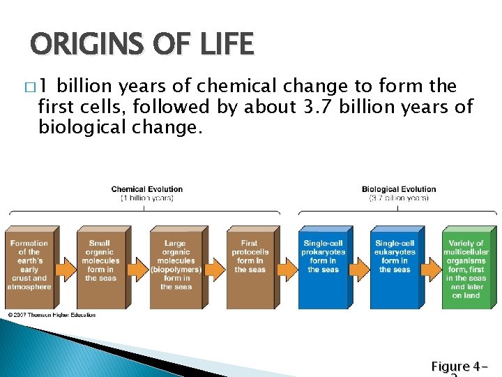 ORIGINS OF LIFE � 1 billion years of chemical change to form the first