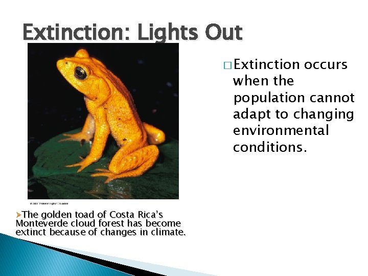 Extinction: Lights Out � Extinction occurs when the population cannot adapt to changing environmental