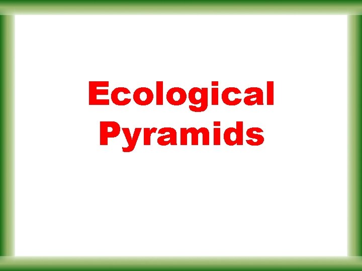 Ecological Pyramids 