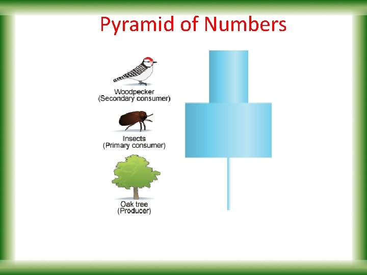 Pyramid of Numbers 
