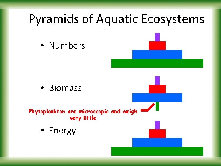 Pyramids of Aquatic Ecosystems • Numbers • Biomass Phytoplankton are microscopic and weigh very