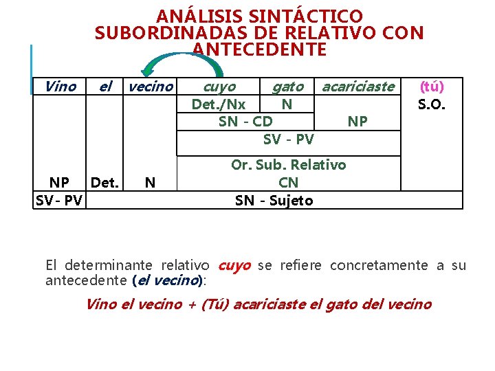 ANÁLISIS SINTÁCTICO SUBORDINADAS DE RELATIVO CON ANTECEDENTE Vino el NP Det. SV- PV vecino ANÁLISIS SINTÁCTICO SUBORDINADAS DE RELATIVO CON ANTECEDENTE Vino el NP Det. SV- PV vecino