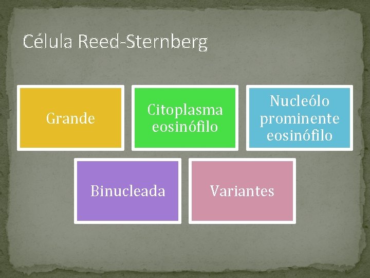 Célula Reed-Sternberg Grande Citoplasma eosinófilo Binucleada Nucleólo prominente eosinófilo Variantes 