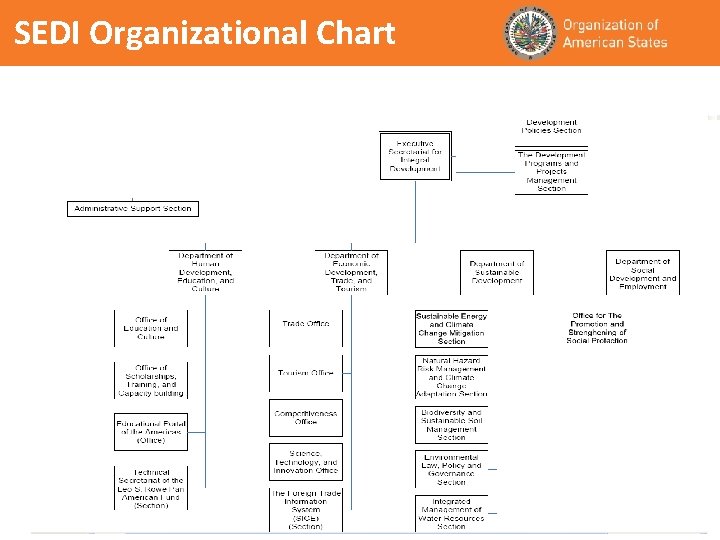 SEDI Organizational Chart 