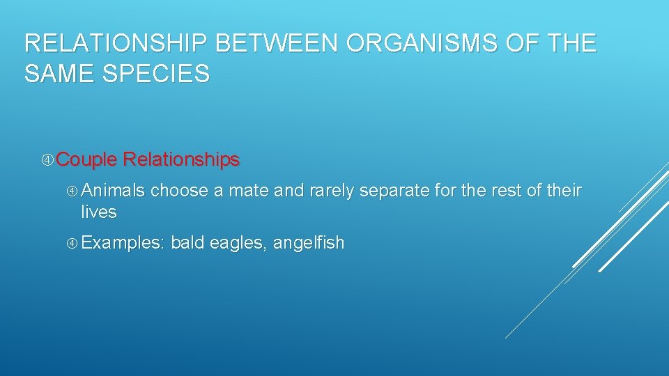 RELATIONSHIP BETWEEN ORGANISMS OF THE SAME SPECIES Couple Relationships Animals choose a mate and