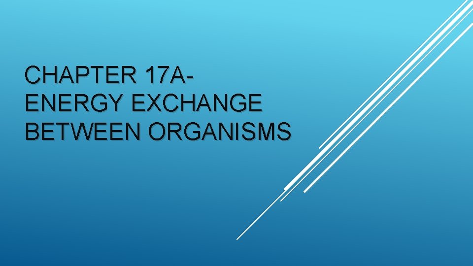 CHAPTER 17 AENERGY EXCHANGE BETWEEN ORGANISMS 
