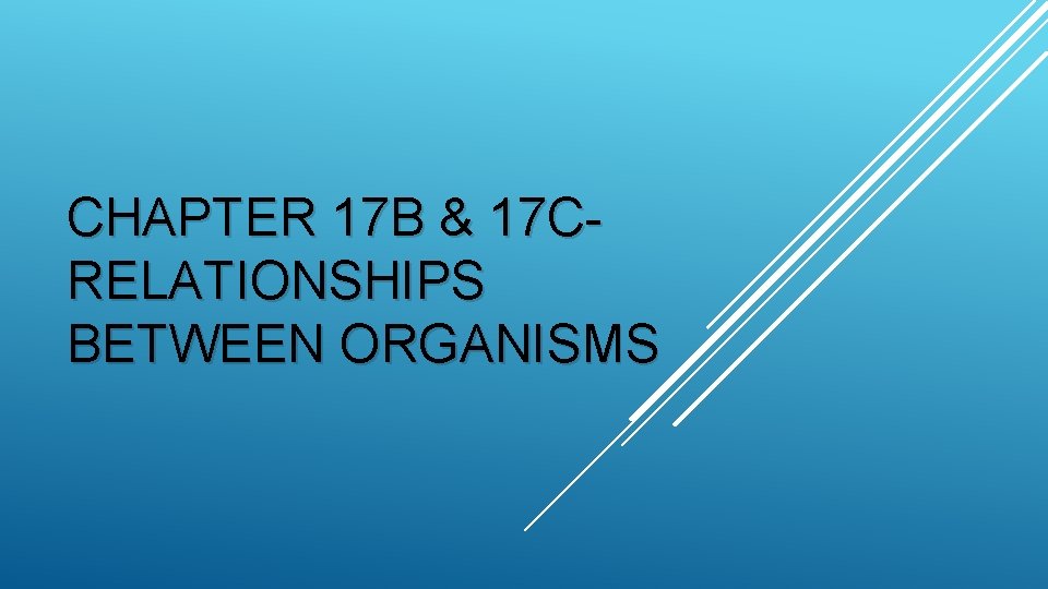 CHAPTER 17 B & 17 CRELATIONSHIPS BETWEEN ORGANISMS 