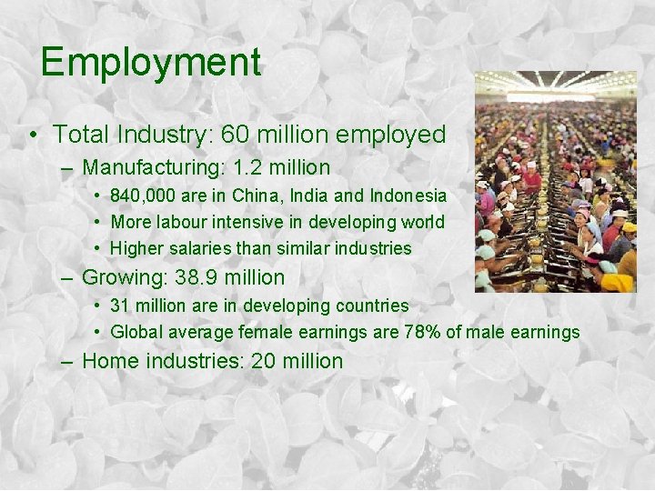 Employment • Total Industry: 60 million employed – Manufacturing: 1. 2 million • 840,