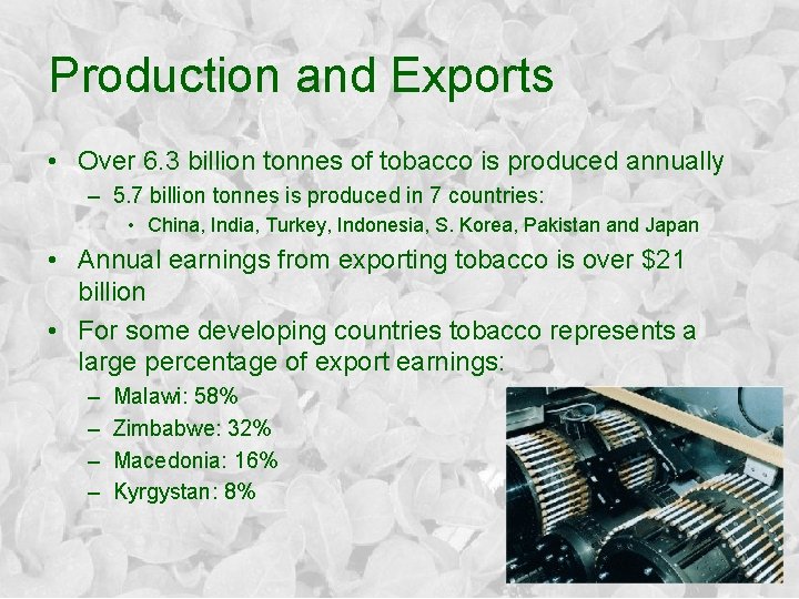 Production and Exports • Over 6. 3 billion tonnes of tobacco is produced annually