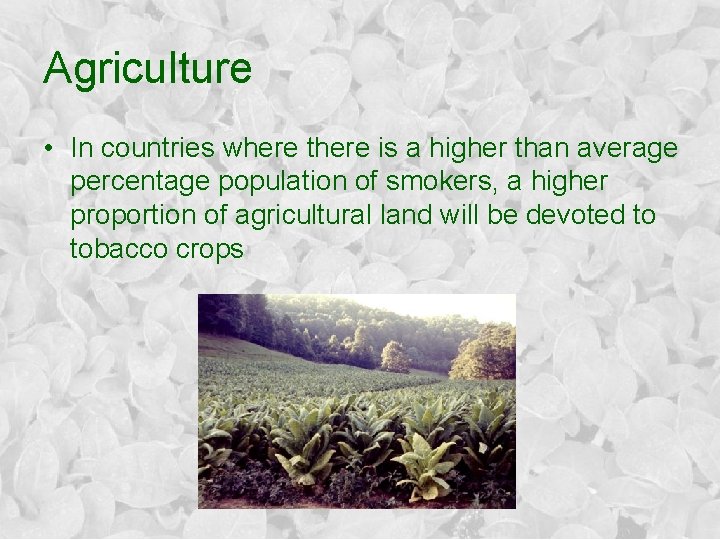 Agriculture • In countries where there is a higher than average percentage population of