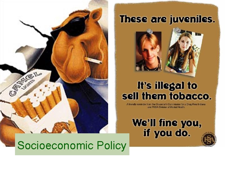 Socioeconomic Policy 