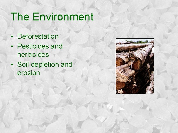The Environment • Deforestation • Pesticides and herbicides • Soil depletion and erosion 
