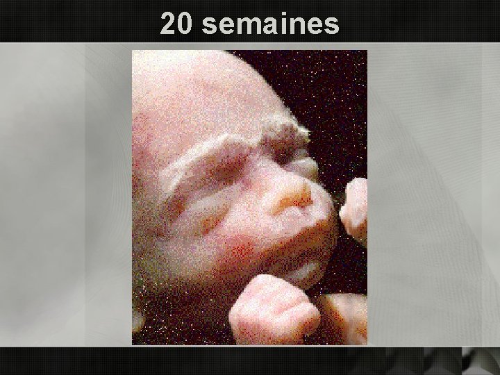 20 semaines 