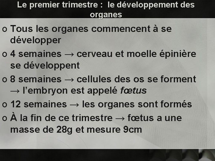 Le premier trimestre : le développement des organes o Tous les organes commencent à