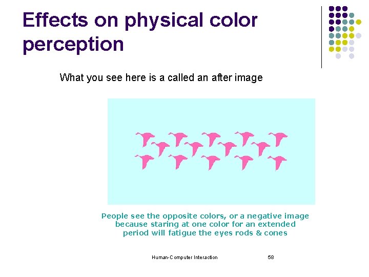Effects on physical color perception What you see here is a called an after Effects on physical color perception What you see here is a called an after