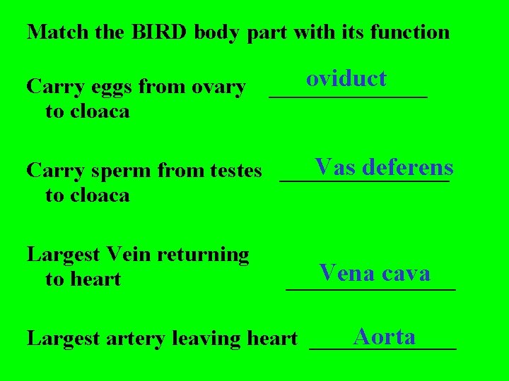 Match the BIRD body part with its function Carry eggs from ovary to cloaca