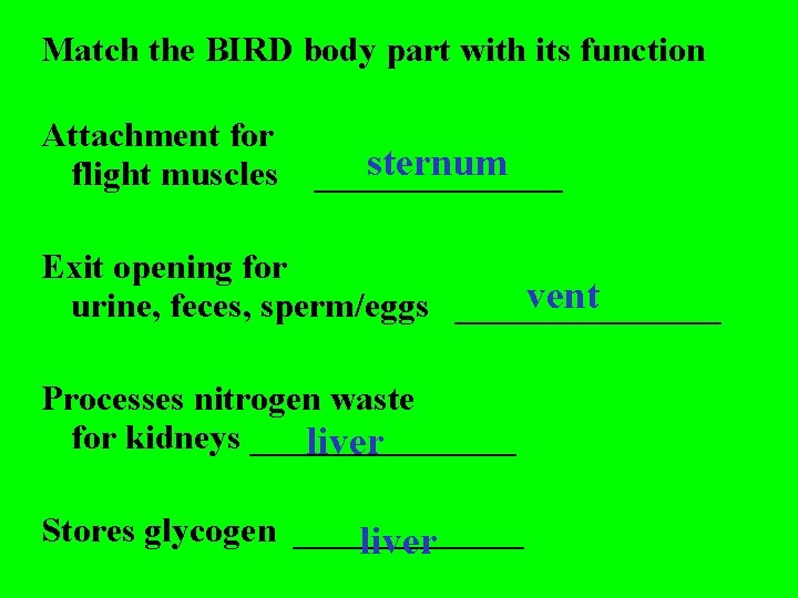 Match the BIRD body part with its function Attachment for flight muscles sternum _______