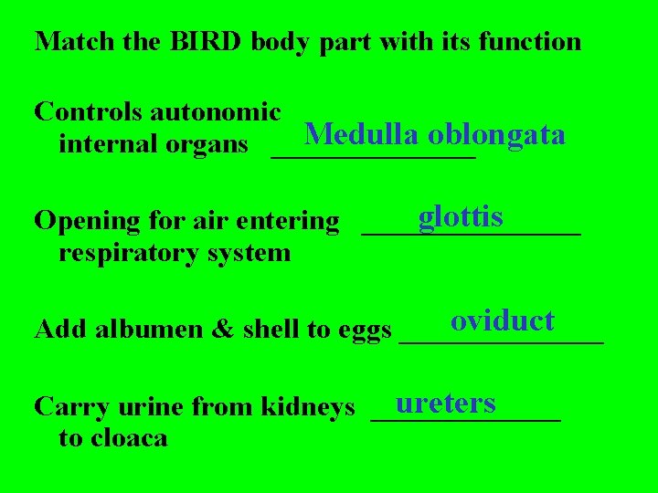 Match the BIRD body part with its function Controls autonomic Medulla oblongata internal organs