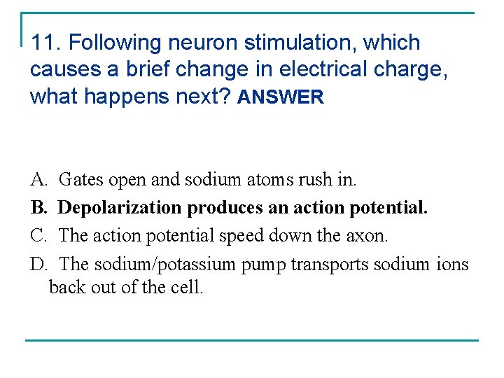 11. Following neuron stimulation, which causes a brief change in electrical charge, what happens