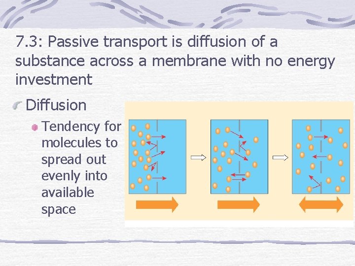 7. 3: Passive transport is diffusion of a substance across a membrane with no