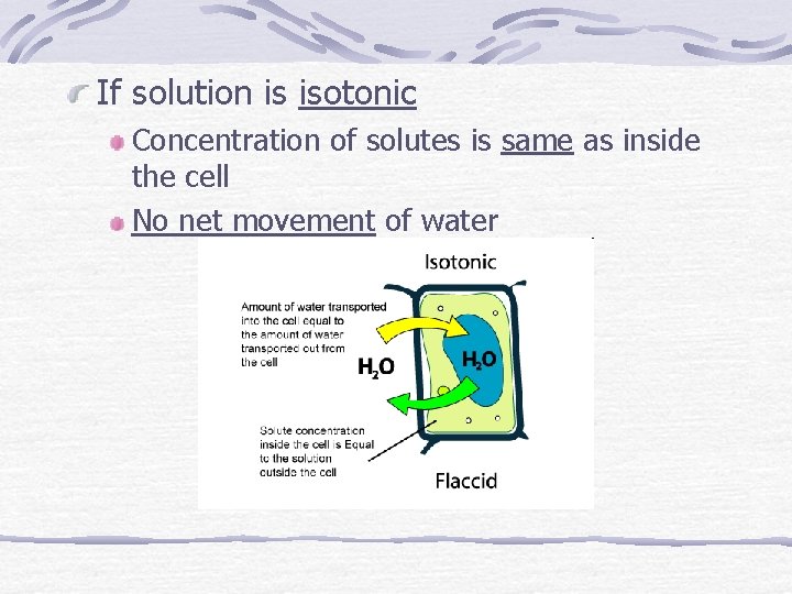 If solution is isotonic Concentration of solutes is same as inside the cell No