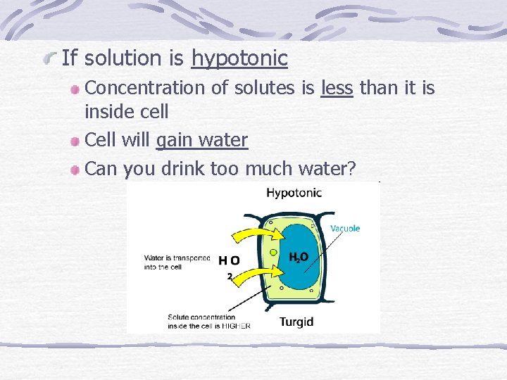 If solution is hypotonic Concentration of solutes is less than it is inside cell